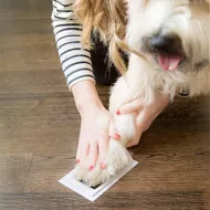 Súprava na odtlačok ručičky, nožičky alebo psie labky - malá